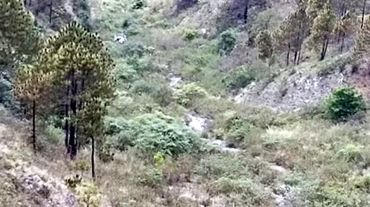 उत्तराखण्डः टिहरी में बड़ा हादसा! गजा-खाड़ी मार्ग पर गहरी खाई में गिरी कार, दो लोगों की मौत
