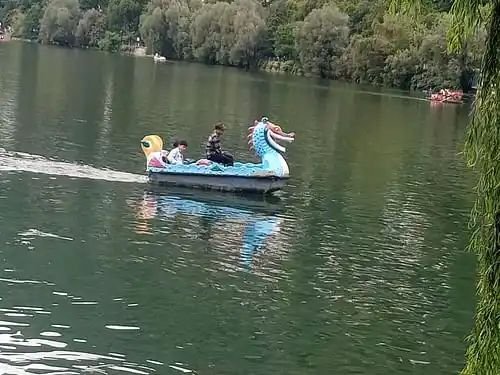नैनीताल : नैनी झील में बोट पर खड़े होकर डांस करना पड़ गया भारी,तीन पर्यटकों पर हुई कार्रवाई